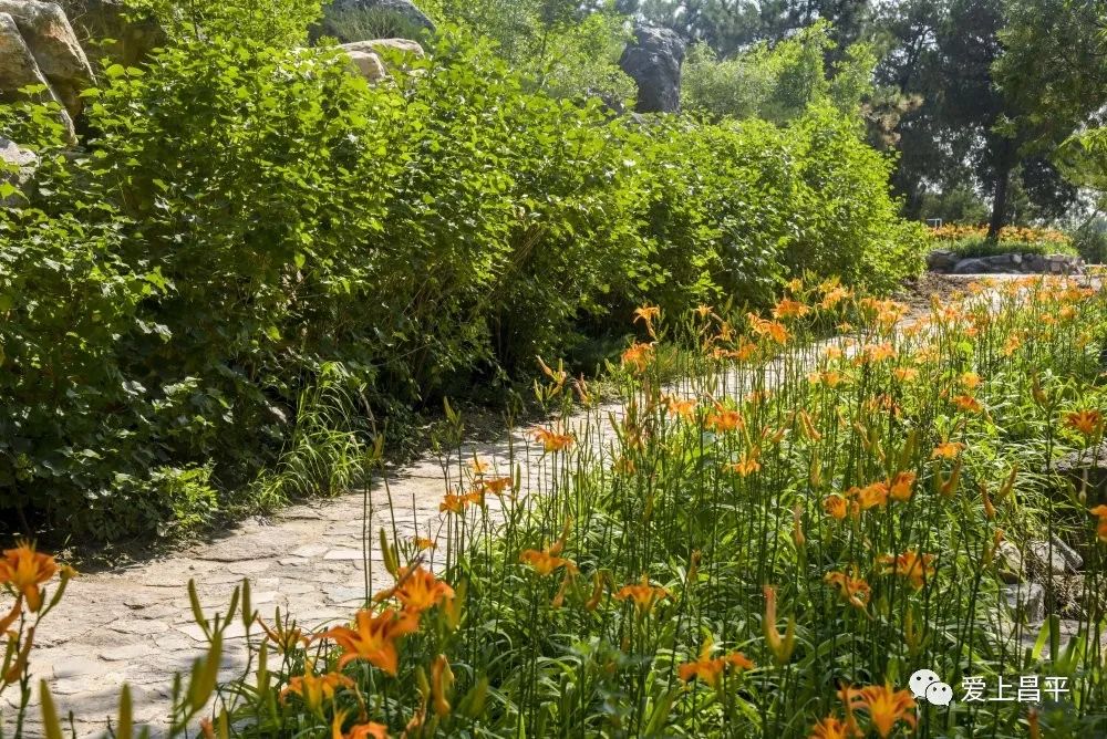 昌平游玩有山有水的地方推荐,昌平旅游攻略必去的地方