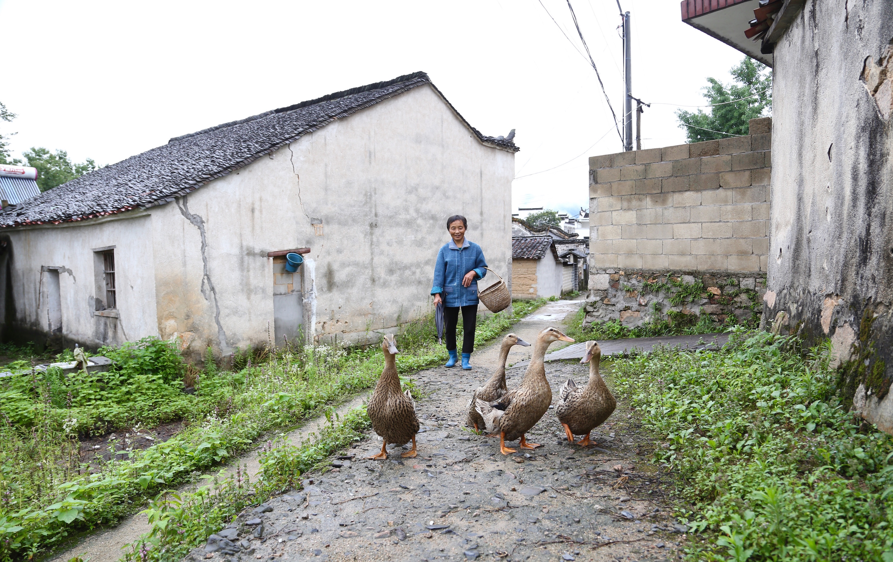 查济古镇有哪些美食,查济古镇里好吃的