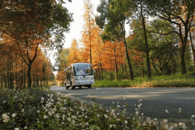 西溪湿地免费开放预约,西溪湿地免费区游览时间