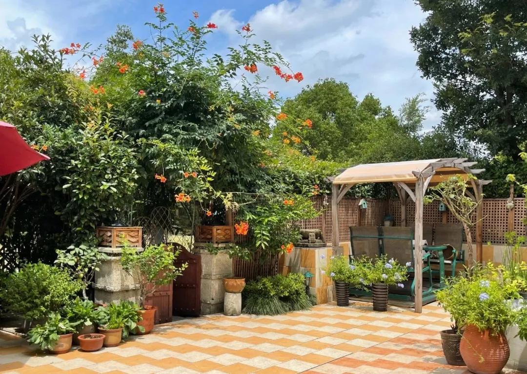 适合懒人家庭种菜100种,家里种菜这3种就够了