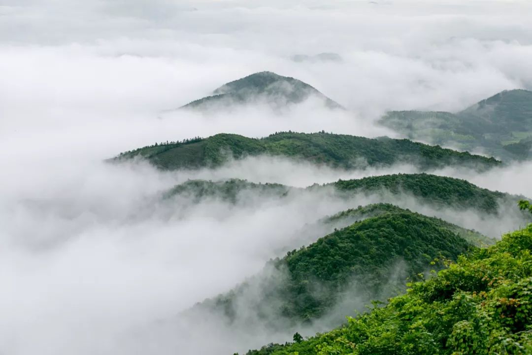 什么是台州畅行码,什么是台州