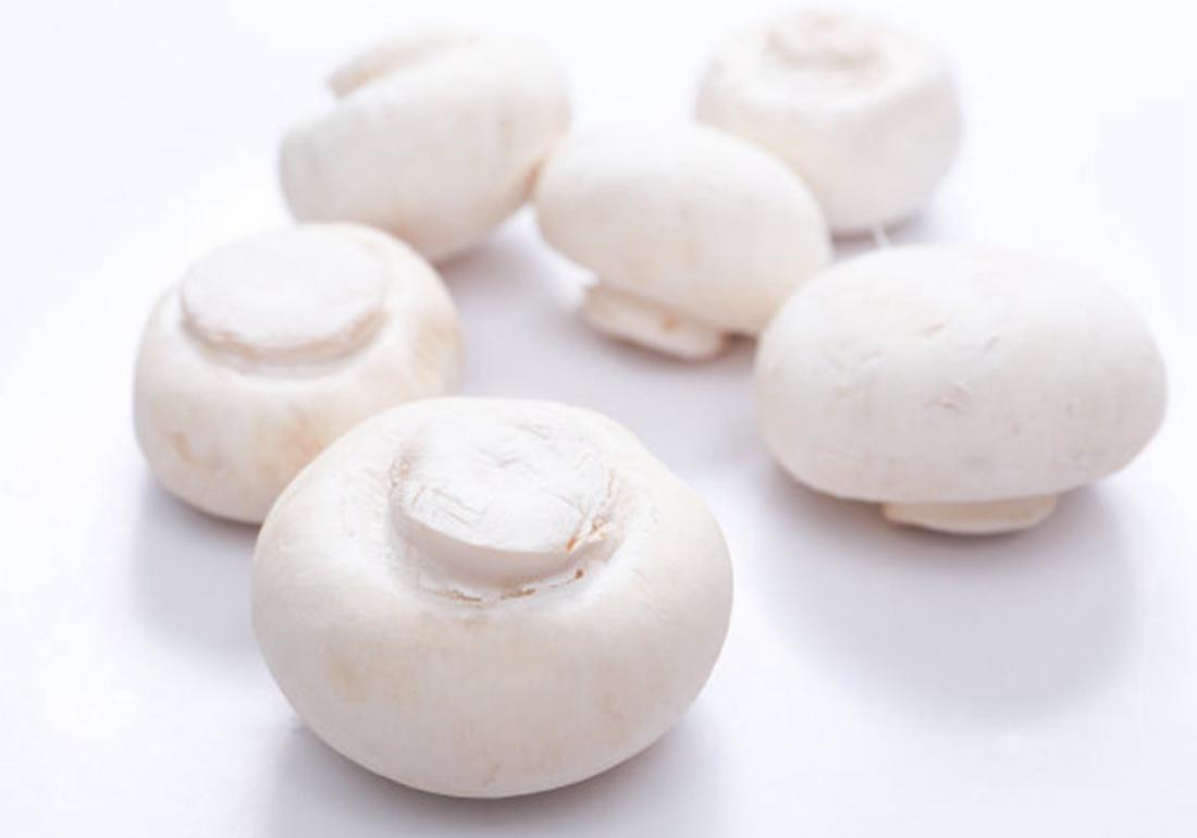 双孢菇原料配方,双孢菇栽培条件