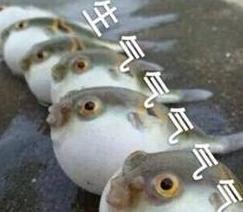 自从升级江苏移动千兆宽带，我的生活就不受控制了！