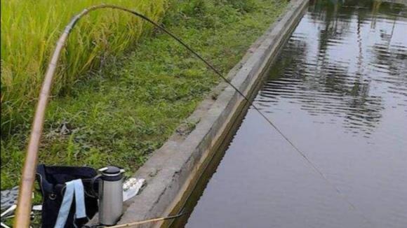 鱼竿类别和钓法,鱼竿手竿怎么选择最好