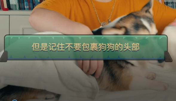 猫狗夏天会热中暑吗,中暑怎么刮痧中暑的急救小妙招