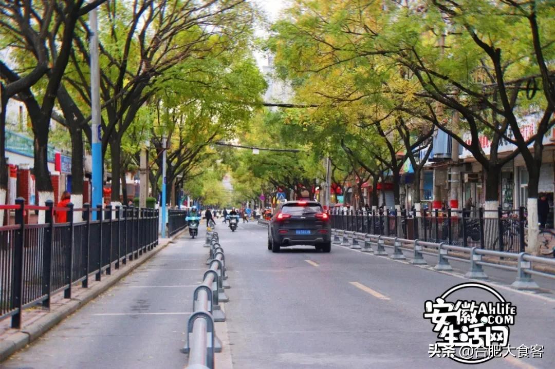 2020年,在这50个地方遇见不一样的合肥