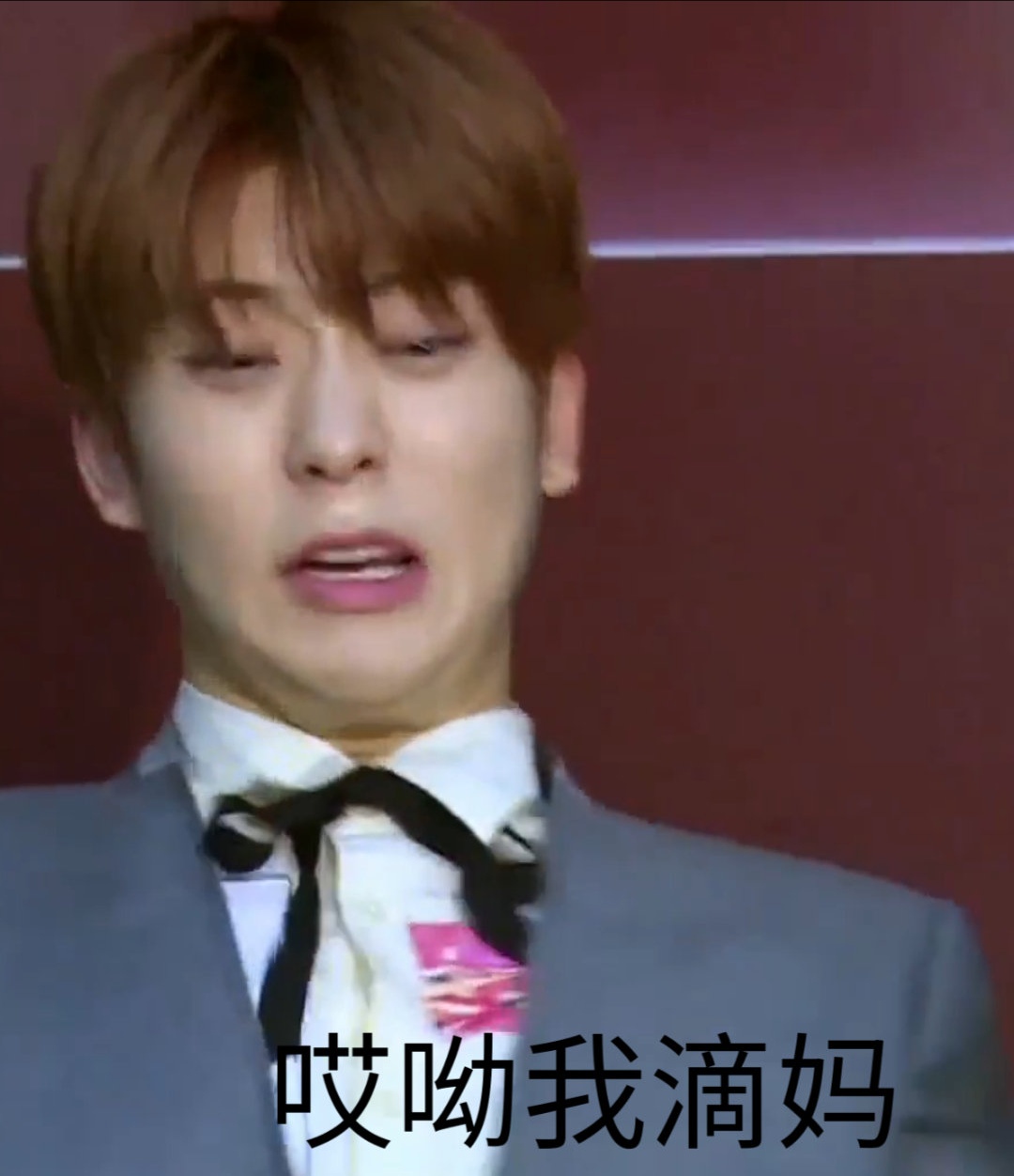 nct成员定位介绍,nct02