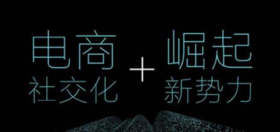 拼购类社交电商有哪些,最有前途的拼购型社交电商