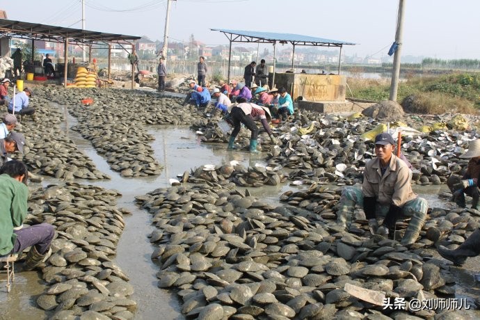 淡水珍珠怎么保养更亮,淡水珍珠真假辨别方法