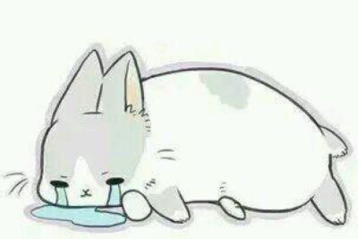 兔子做过什么不可思议的事,当兔子遇到小主人会怎样