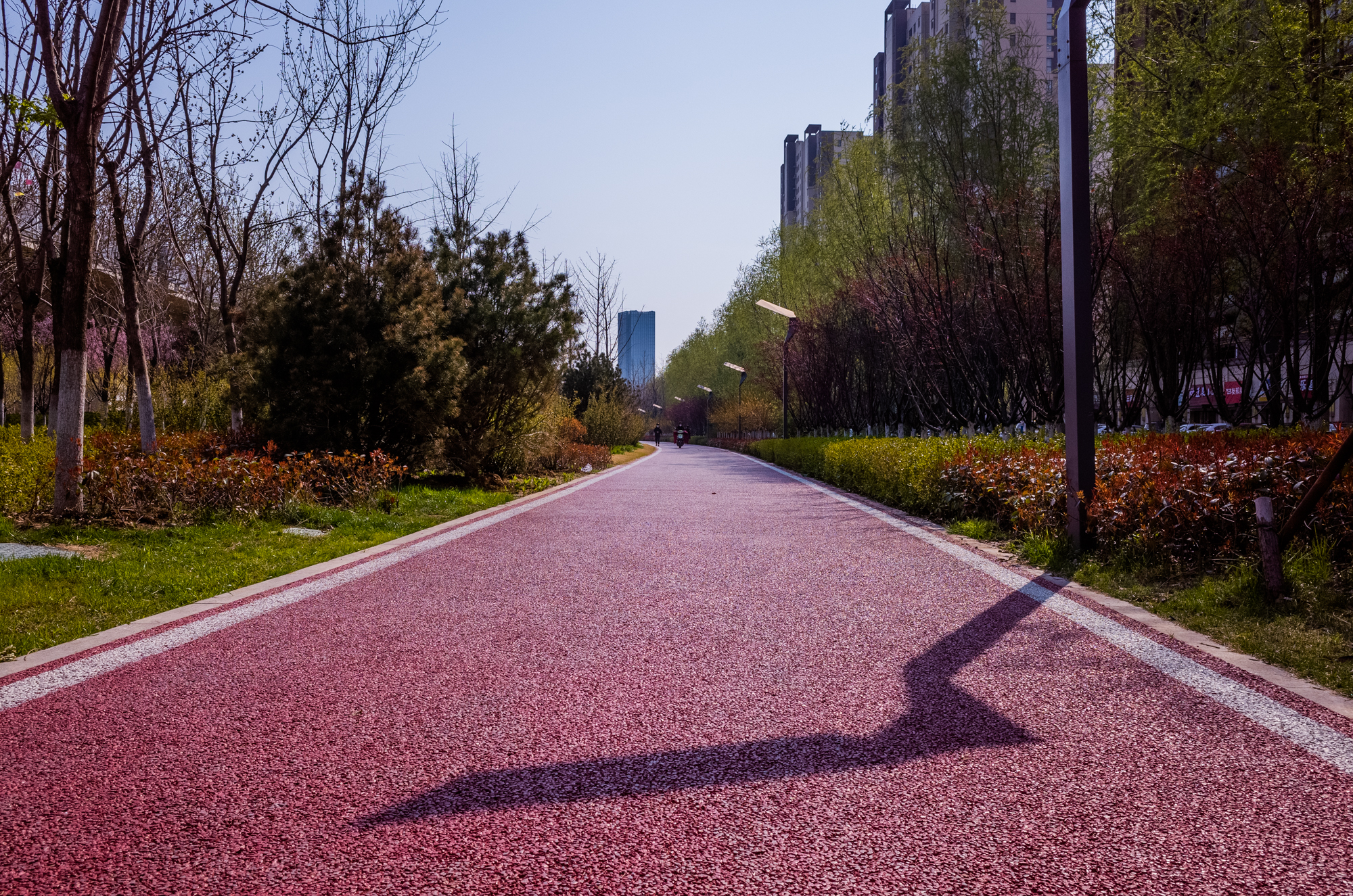 鍗庝负p30pro瀵规瘮鑻规灉12pro,鍗庝负p30pro瀵规瘮iphonese2