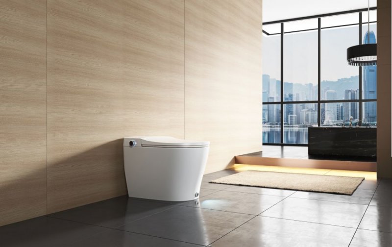 最大智能马桶代工厂,智能马桶工厂现状