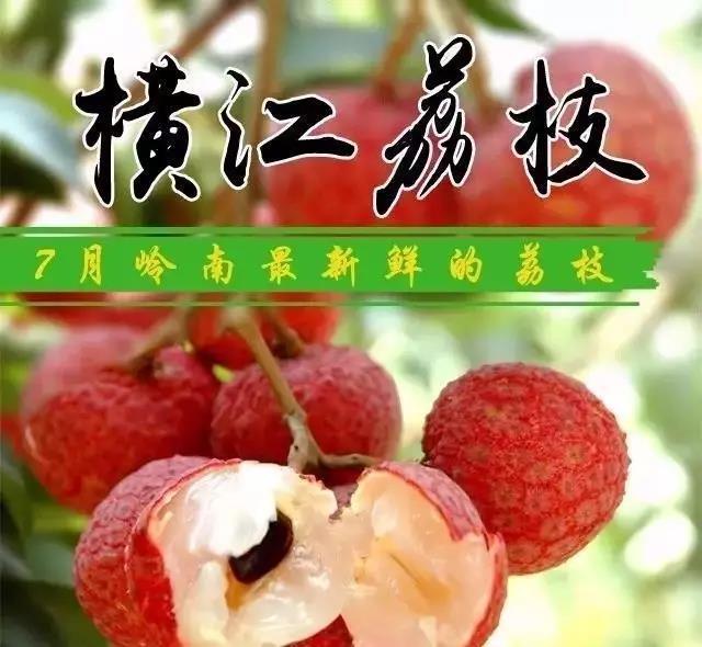 花卉蔬菜制作教程,花卉怎么做
