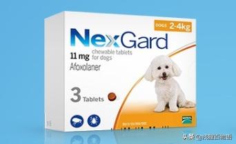 什么驱虫药狗子用好,狗外用驱虫药啥牌子的最安全