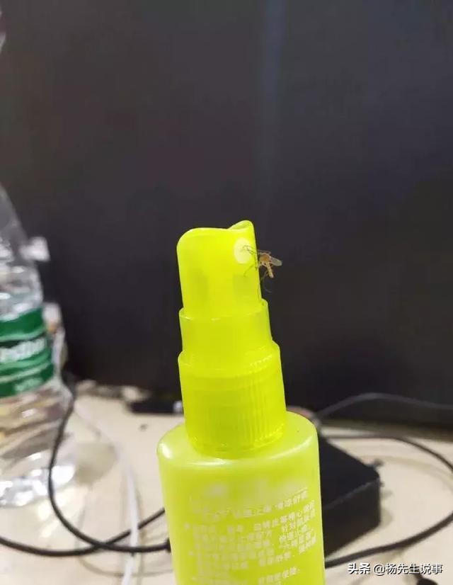 前戏要足，动作要帅，大召唤术