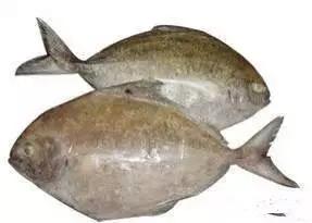 海南渔民整理的海鲜大全,渔民海鲜介绍