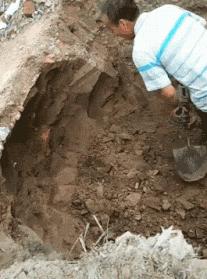 搞笑gif永远不要相信任何人,朋友圈gif背景搞笑