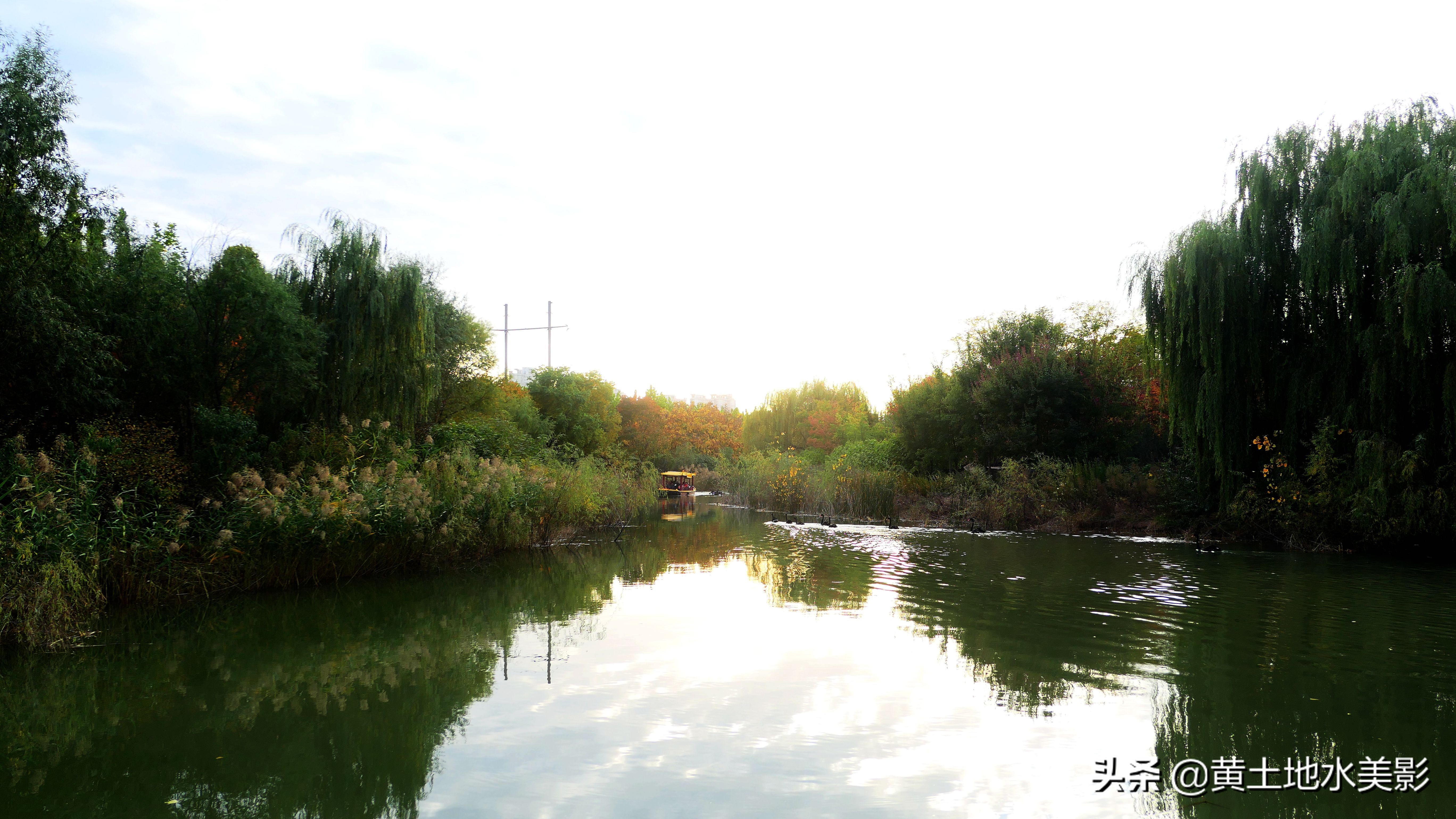 免费游玩东湖公园攻略,免费湿地公园游乐景点