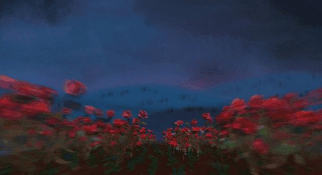 槽糕,是心动的感觉!这个神秘花谷正在悄然绽放!走,去拍照~