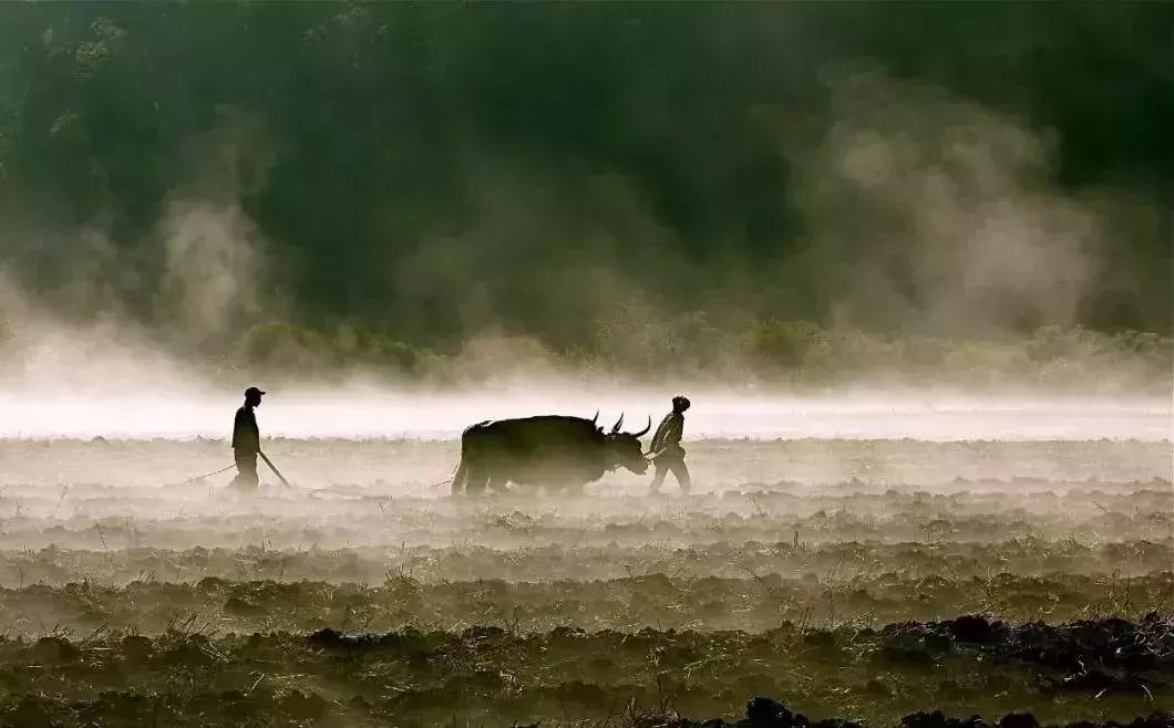 牛肉面在哪个省,牛肉面哪个省最有名