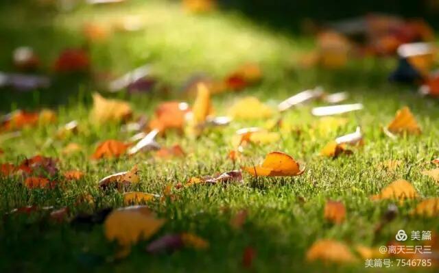 玉泉山北坞公园介绍,北坞村玉泉山