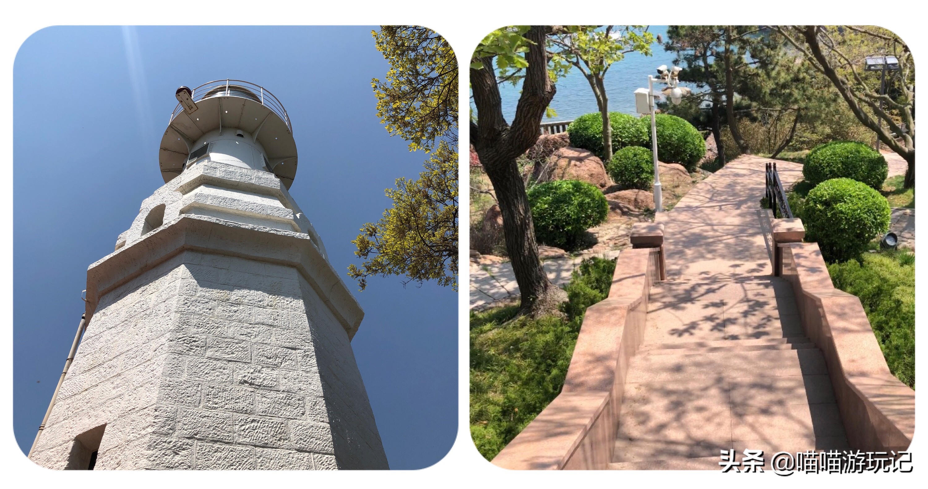 小青岛公园评价,青岛小青岛公园收费