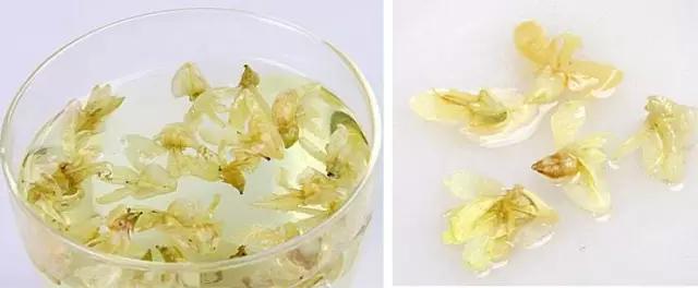 吃槐花注意事项,开始吃槐花了会怎样