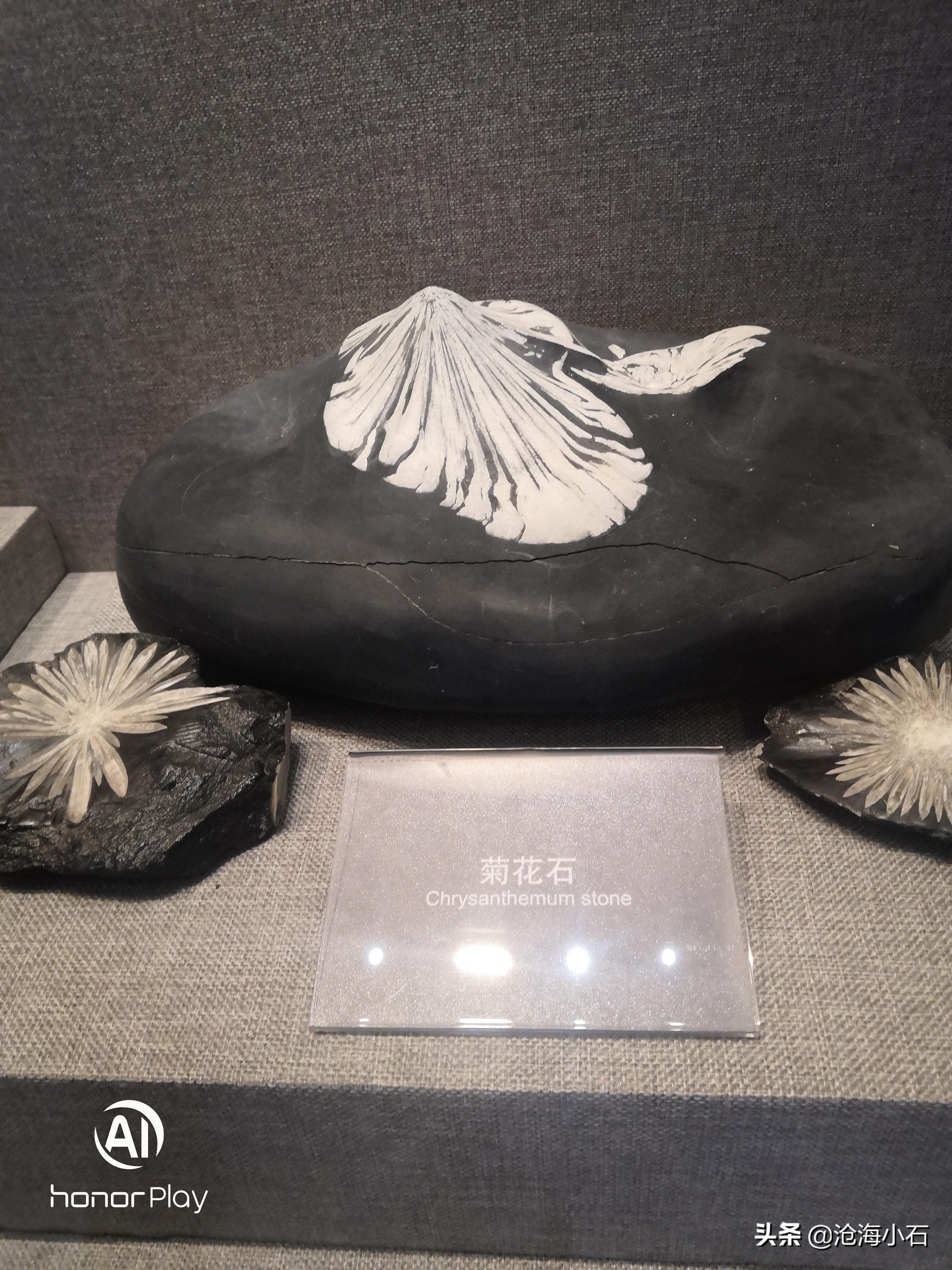 有哪些石头不要扔,十种不能捡的石头图片