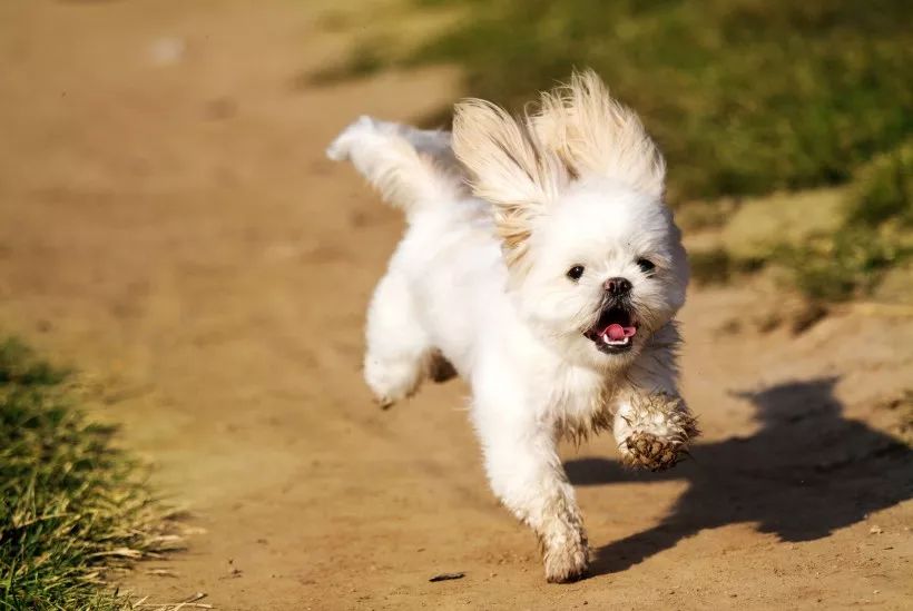 啧啧啧~断绝它的“性”福之路前你有仔细考虑吗？