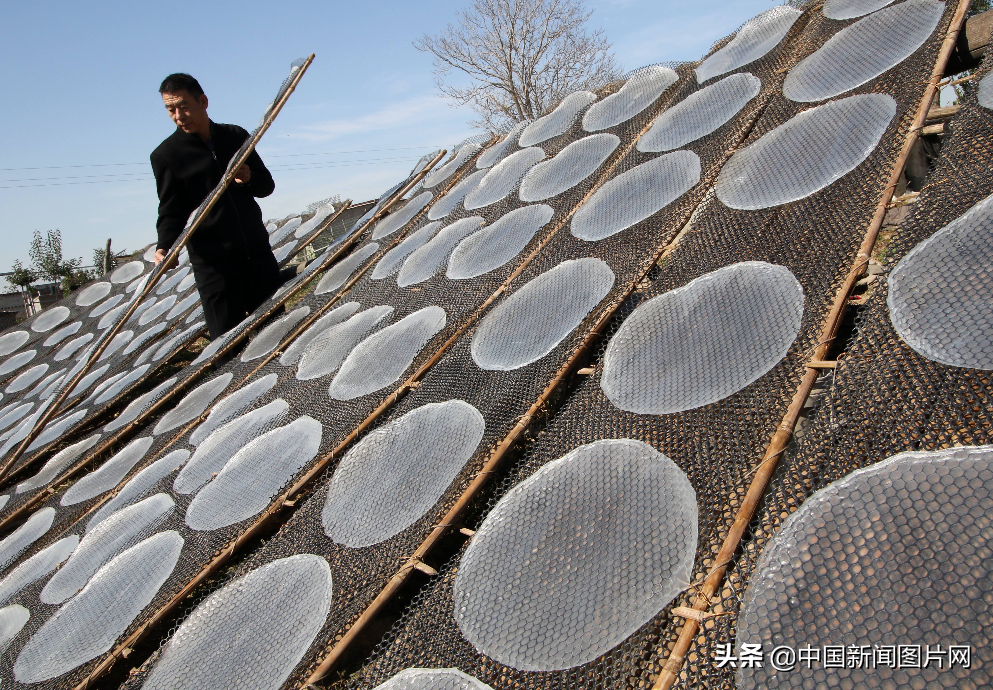 黄县手工粉皮现做现卖,粉皮加工厂致富项目