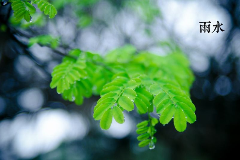 原创诗词七绝新韵,原创诗词五言绝句