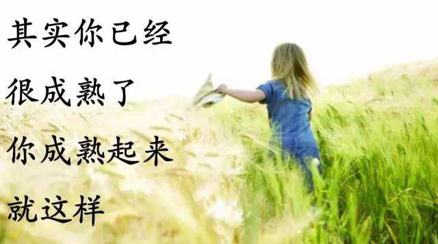 心灵鸡汤经典励志语录140句,心灵鸡汤大全励志语录经典