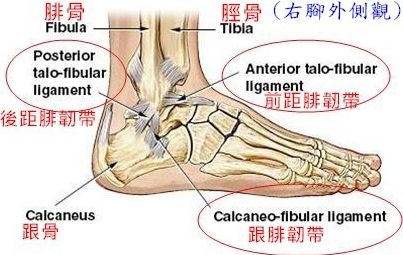 踝关节损伤的论文,浅谈踝关节扭伤的急救措施