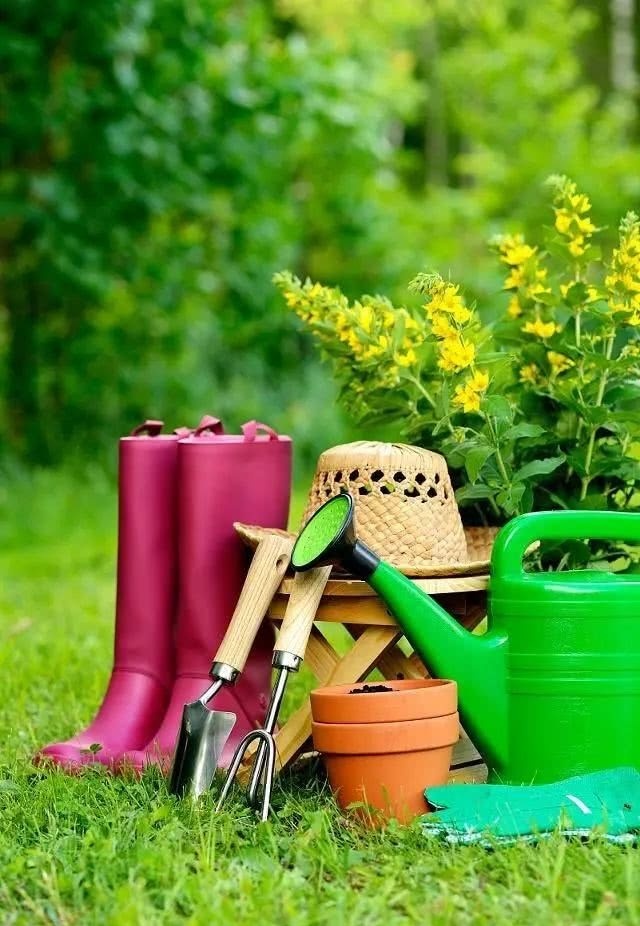 春天养花用见干见湿还是干透浇透,养花的土什么情况叫见干见湿