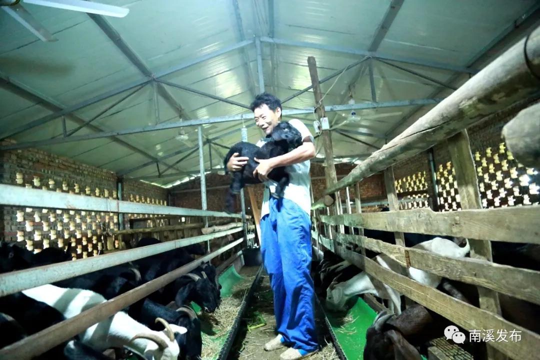 栉风沐雨一百年砥砺前行谱华章,栉风沐雨秉初心砥砺奋进谱华章