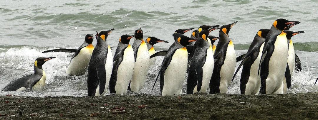 香港第14届全国摄影艺术展,第29届全国摄影艺术展览获奖名单