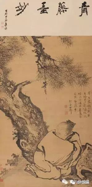 写意花鸟吴昌硕,徐渭写意花鸟菊花