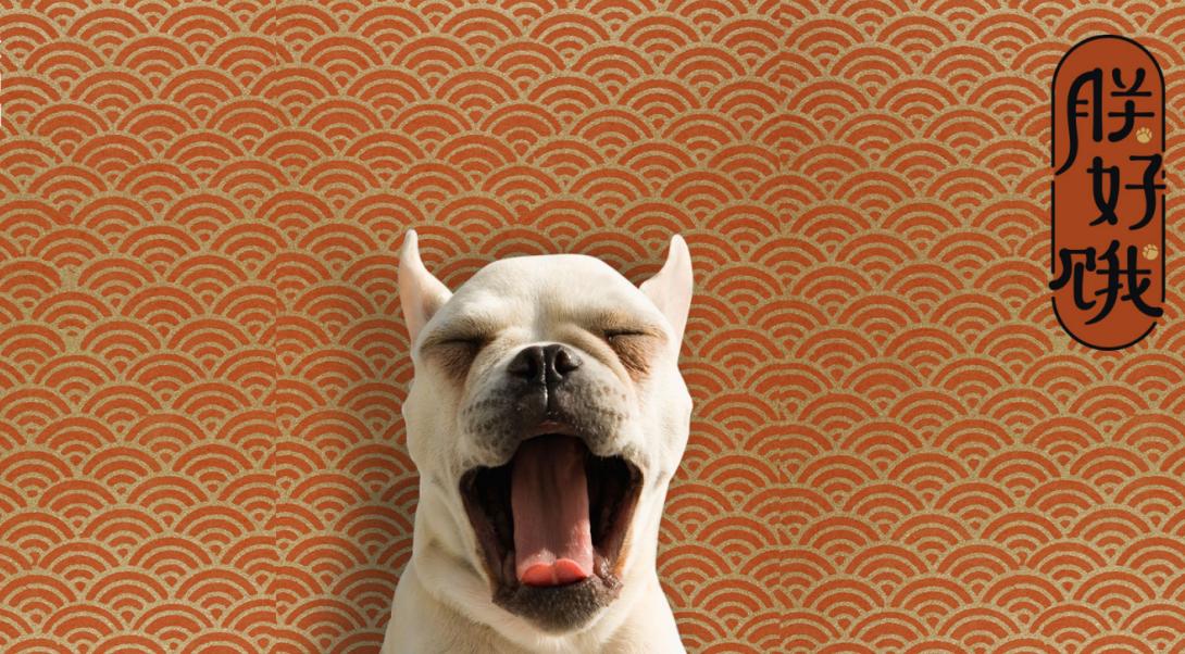 「论坛」小区里面的25个养狗的人，开会讨论zezeze