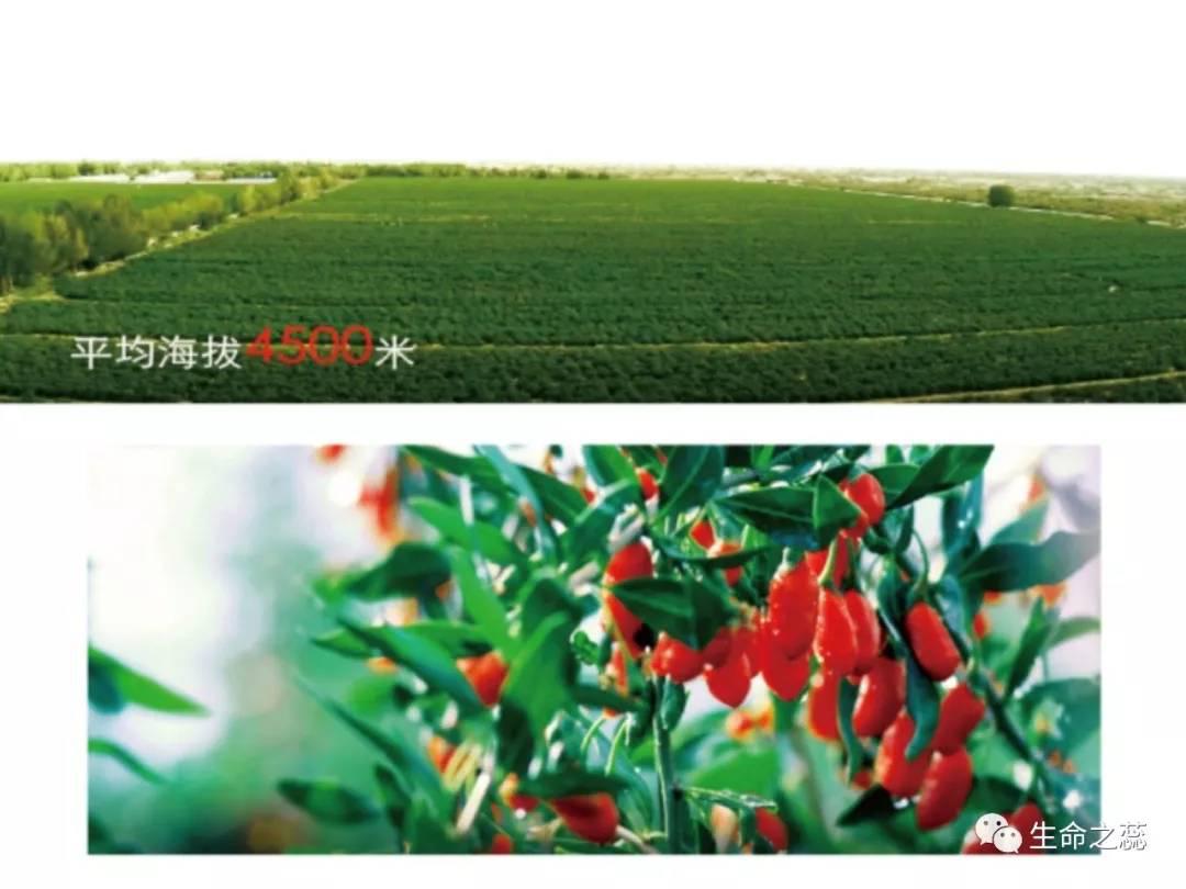 男人补肾女人喝了美容养颜,男人强肾