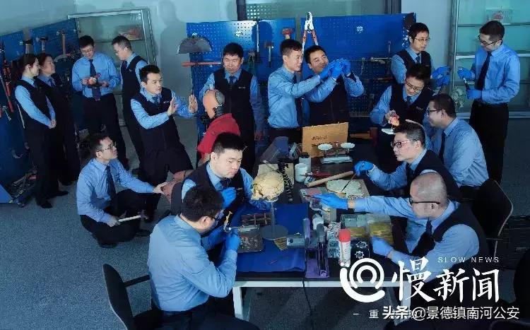 法医悬疑系列电影,10部好看的法医悬疑电影