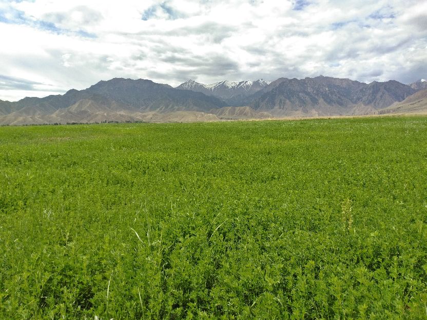 祁连天池在哪,祁连天池风景旅游区路好走不