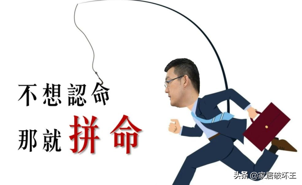 关于自如的故事,关于自如的视频