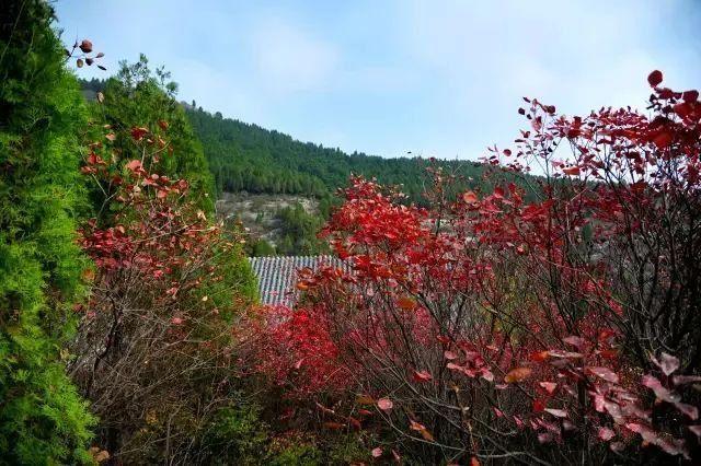 济南旅游景点推荐带孩子玩,济南旅游景点推荐适合带孩子