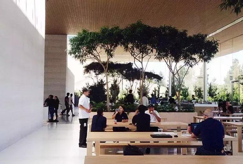 乔布斯去世真正的原因,乔布斯离世再无巅峰之作