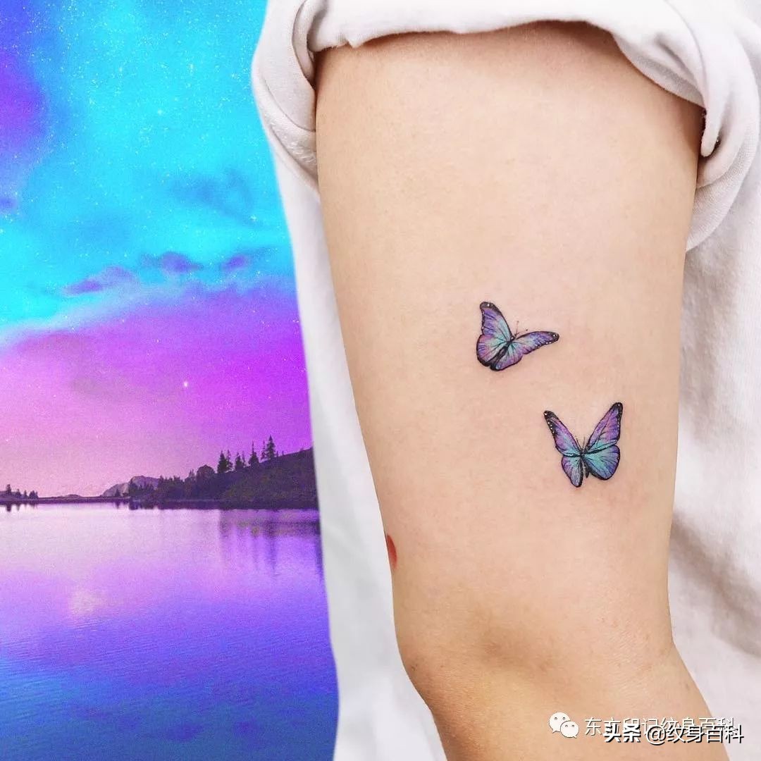 蝴蝶纹身图案代表什么,代表自由的蝴蝶纹身