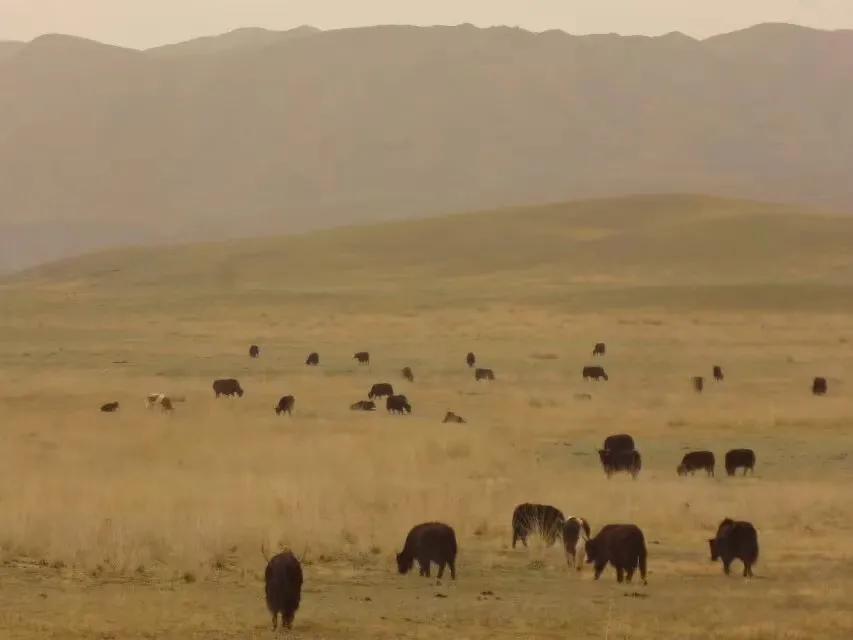 我眼中的历史完整视频,我眼中的历史是什么