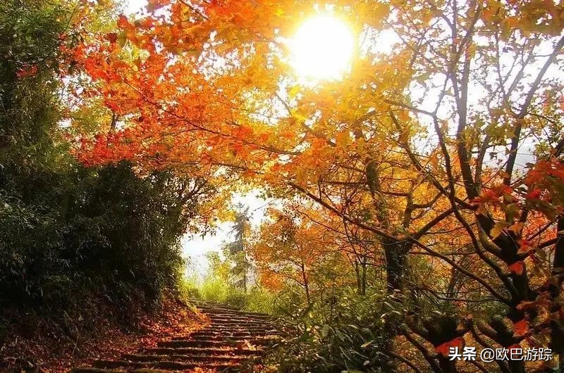 绍兴古道攻略一日游自由行,此生必去的三条国道