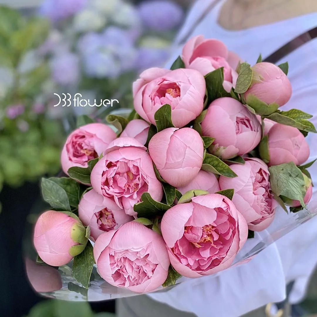 花店吸引人的经营模式,怎样经营一家花店零基础