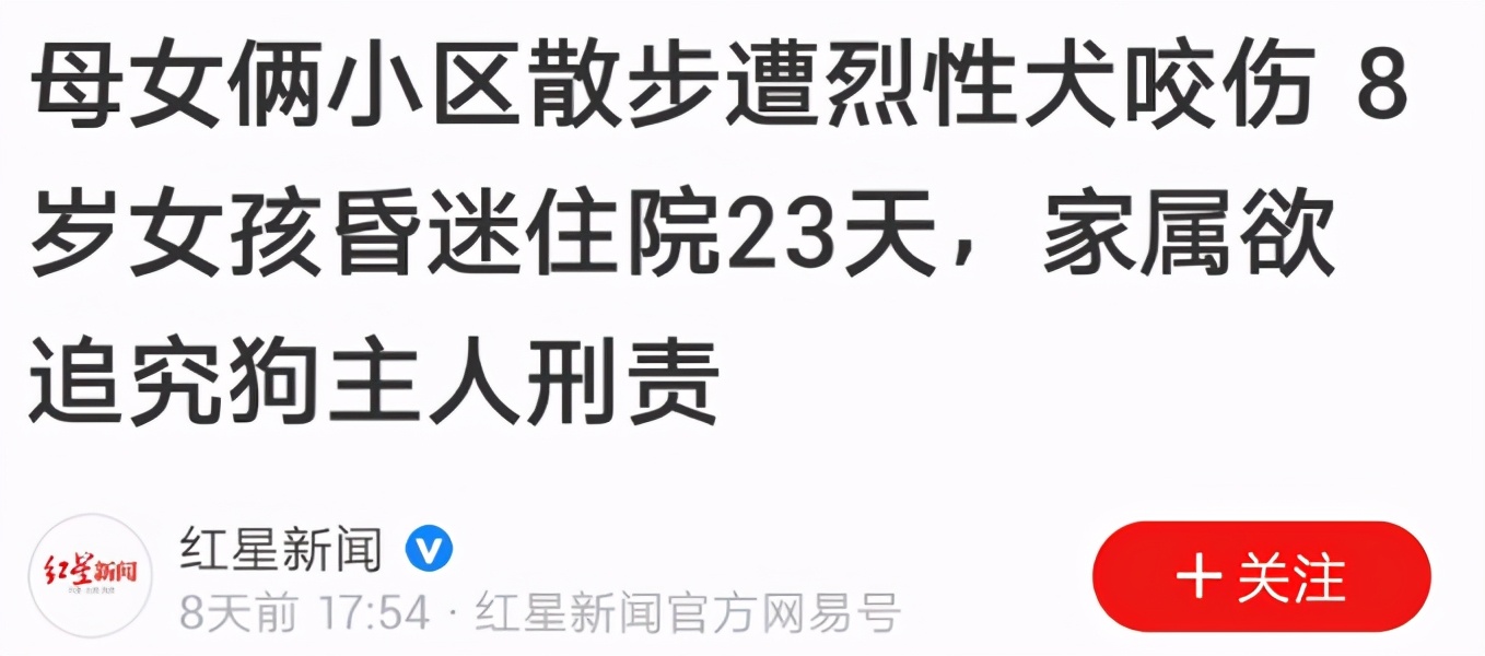 烈性犬伤人后怎么处理,如何避免烈性犬伤人事件呢
