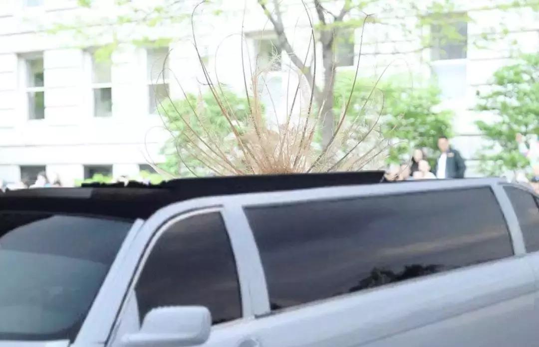 MetGala｜他们都在骗你，今年时尚奥斯卡的主题，是中国古代神话